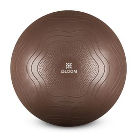Bloom LB7051 55 cm Kahverengi Pilates Topu