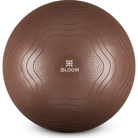 Bloom LB7051 55 cm Kahverengi Pilates Topu