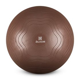 Bloom LB7051 55 cm Kahverengi Pilates Topu
