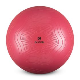 Bloom LB7051 65 cm Pembe Pilates Topu