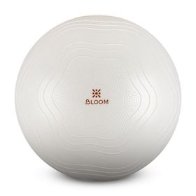 Bloom LB7051 75 cm Beyaz Pilates Topu