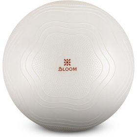 Bloom LB7051 75 cm Beyaz Pilates Topu