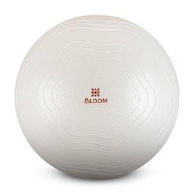 Bloom LB7051 75 cm Beyaz Pilates Topu