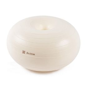 Bloom LB7053 Beyaz Denge Topu Pompası