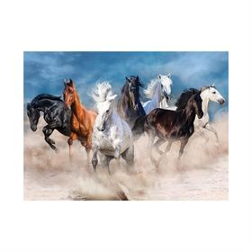 Blue Focus Horses Atlar 1000 Parça Puzzle