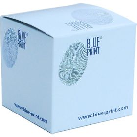 Blue Print ADG02281 Hava Filtresi