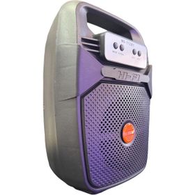 Blue Spectrum MS-1733 Işıklı Radyolu Kablosuz Bluetooth Hoparlör