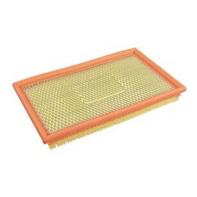 Blueprint ADG02250 Hava Filtresi
