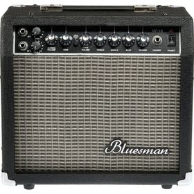 Bluesman GF15 REVERB Elektro Gitar Amfisi