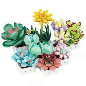 BLX 8842 Sukulent Çiçek Buketi