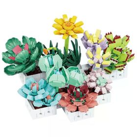 BLX 8842 Sukulent Çiçek Buketi