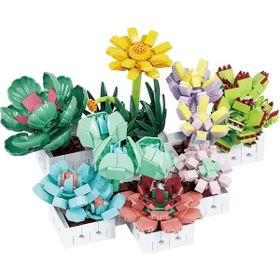 BLX 8842 Sukulent Çiçek Buketi