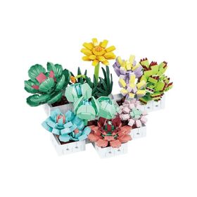 BLX 8842 Sukulent Çiçek Buketi