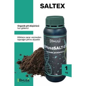 Bmusa Salt-Ex 1 kg Organik Ph Düşürücü