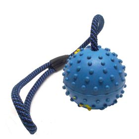 Bobo BO-4407-AL 48 cm Köpek Diş İpi Toplu