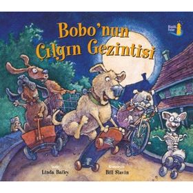 Bobo'nun Çılgın Gezintisi - Linda Bailey