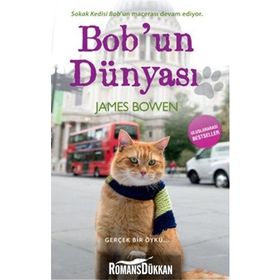 BOBUN DÜNYASI - JAMES BOWEN