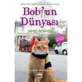 BOBUN DÜNYASI - JAMES BOWEN