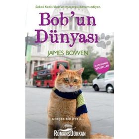 BOBUN DÜNYASI - JAMES BOWEN