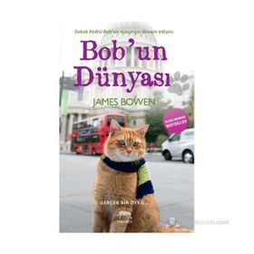 BOBUN DÜNYASI - JAMES BOWEN