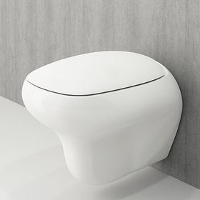 Bocchi Fenice Parlak Beyaz Asma Klozet ve Kapak