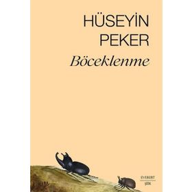 Böceklenme Everest Yayınları