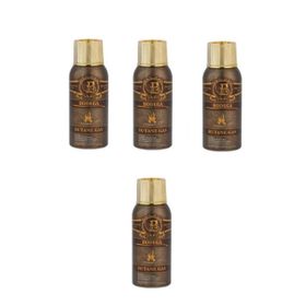 Bodega 4x100 ml Premium Bütan Gaz