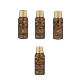 Bodega 4x100 ml Premium Bütan Gaz