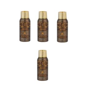 Bodega 4x100 ml Premium Bütan Gaz