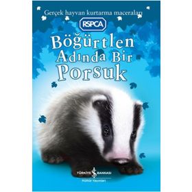 Böğürtlen Adında Bir Porsuk - Sarah Hawkins