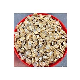 Bol Proteinli 1 kg Guinea Pig Tavşan Arpa Ezmesi Yemi