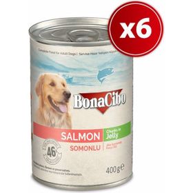 BonaCibo 400 gr x 6 Adet Jöleli Somonlu Yaş Yetişkin Köpek Maması