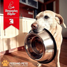 Bonacibo Adult Dog Lamb & Rice Kuzu Etli ve Pirinçli 2x4 kg Yetişkin Köpek Maması