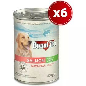 BonaCibo Somonlu Yetişkin 6x400 gr Köpek Konserve Yaş Mama