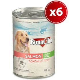 BonaCibo Somonlu Yetişkin 6x400 gr Köpek Konserve Yaş Mama