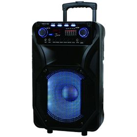 Bood MX305 600W Taşınabilir Müzik Seti