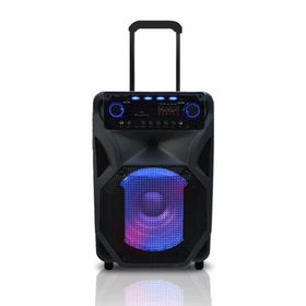 Bood MX305 600W Taşınabilir Müzik Seti