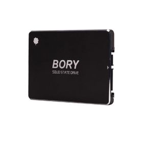 Bory R500-C1T 1 TB Sata 3 550/510 MB/s SSD