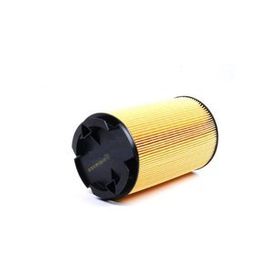 Bosch 13717534825 Peugeot Citroen Mini Couper Hava Filtresi