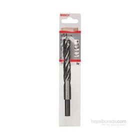 Bosch 14150 mm 2608596311 Ahşap Matkap Ucu