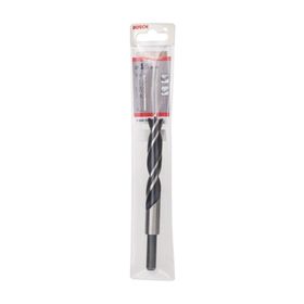 Bosch 15160 mm 2608596312 Ahşap Matkap Ucu