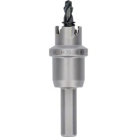 Bosch 17 mm Endurance Ağır Metaller Delik Açma Testeresi