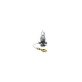 Bosch 1987302806 Ampul