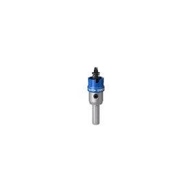 Bosch 22 mm TCT Elmas Uçlu Panç
