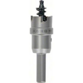 Bosch 22 mm TCT Elmas Uçlu Panç