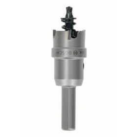 Bosch 22 mm TCT Elmas Uçlu Panç