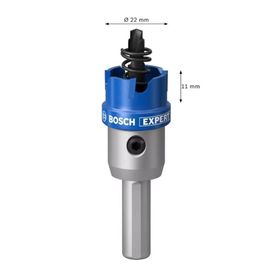 Bosch 22 mm TCT Elmas Uçlu Panç