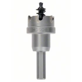 Bosch 22 mm TCT Elmas Uçlu Panç