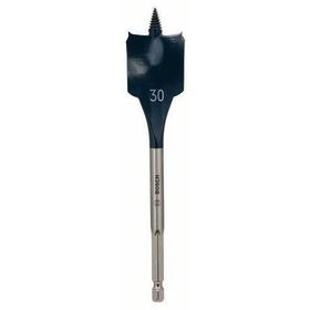 Bosch 2608595497 30x152 mm Matkap Ucu