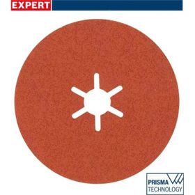 Bosch 2608621817 R782 Expert 100 mm 60 Kum 25'li Inox Disk Zımpara